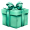 Mystery Gift